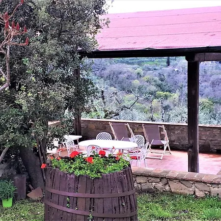 Indipendente Di 70 Mq Con Piscina Ad Uso Esclusivo , Aria Condizionata , 2 Bagni , Living ,ampia Cucina , Lavanderia , Terrazza ,giardini , Parcheggio Privato Immerso Nelle Colline Toscane Facente Parte Di Dimora Storica Toscana Di Fine Apartment